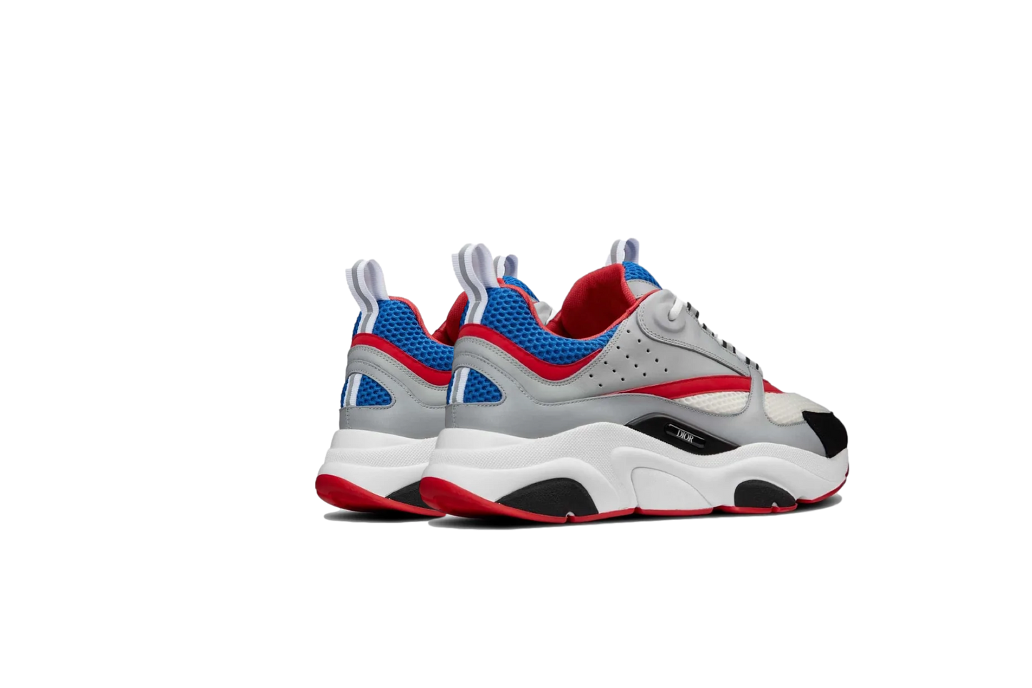 DIOR B22