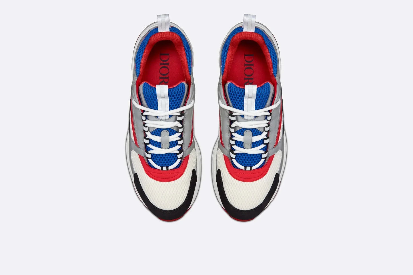 DIOR B22